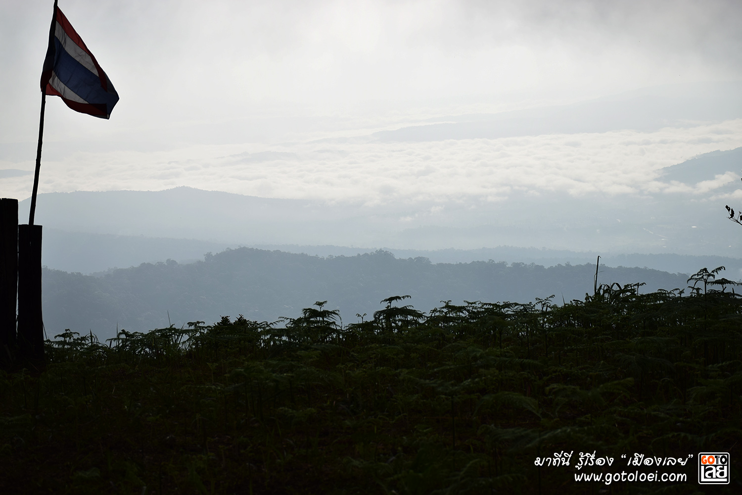 ทะเลหมอก เนิน 1408 อุทยานแห่งชาติภูสวนทราย