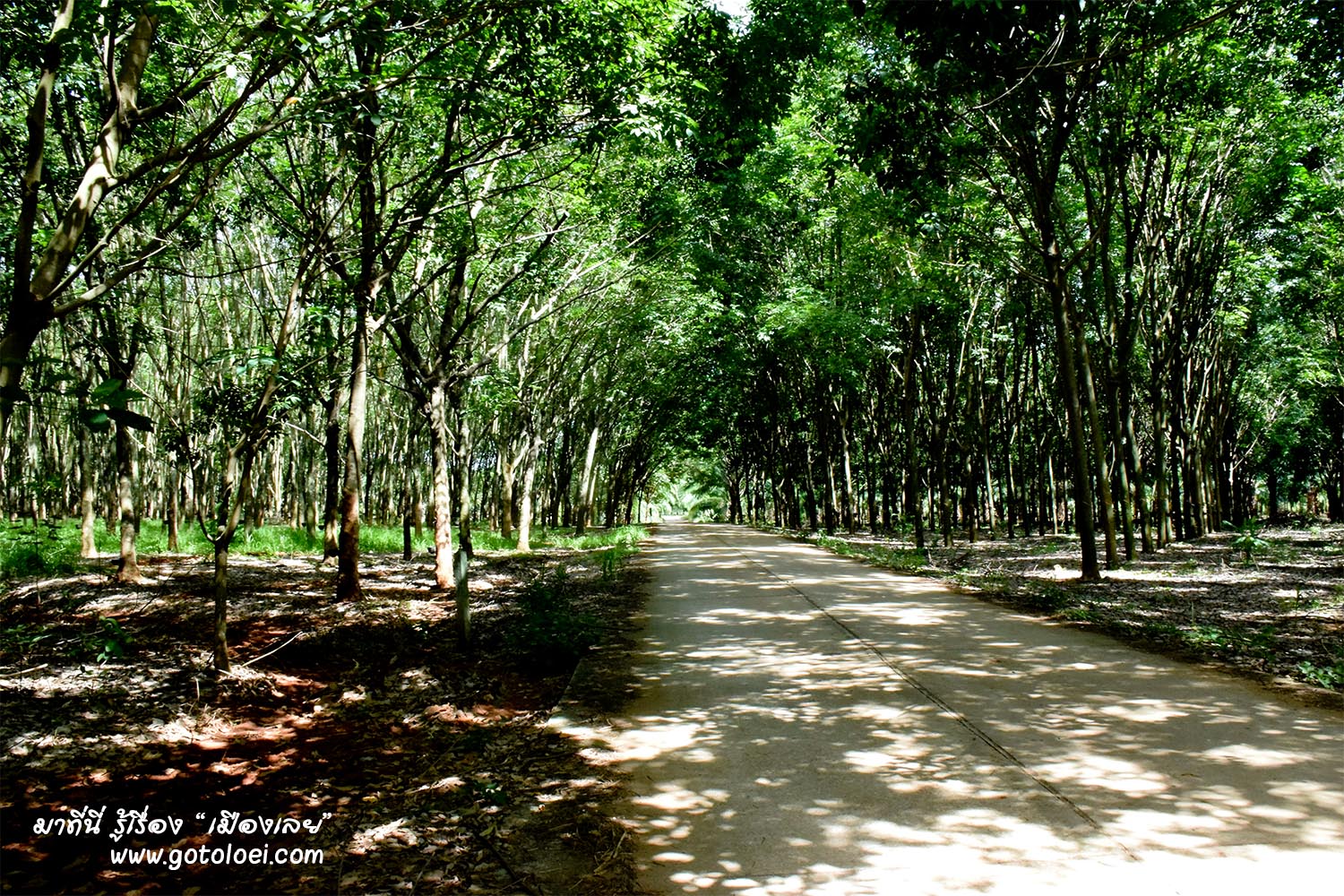 ถนนทางเข้าวัดถ้ำข้าวสารหิน.jpg