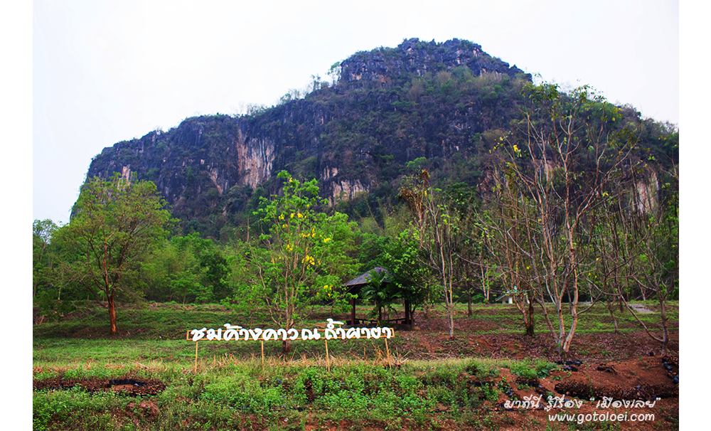 ป้ายชมค้างคาวที่ถ้ำผายา