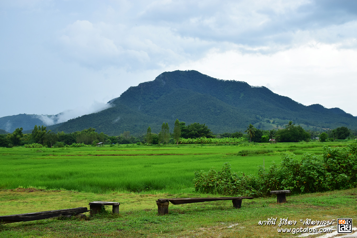 วิวทิวทัศน์ บ้านพิพิธภัณฑ์ไทดำ